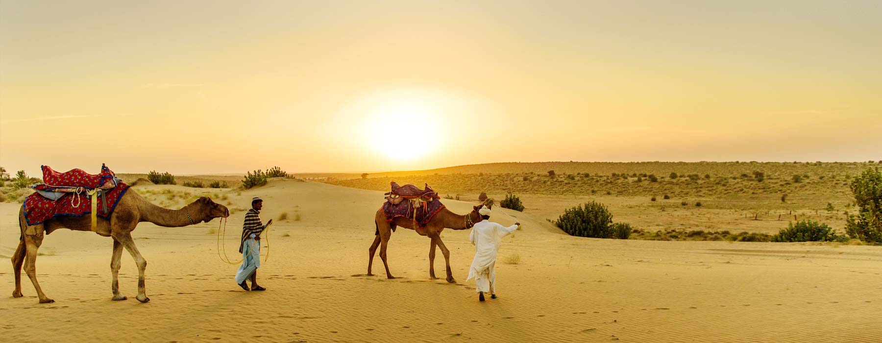 Temple Tours in India with Camel Safari Tours in India